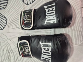 Guantes de Boxeo Leone 16oz