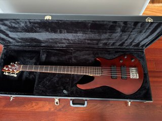 Bajo de 5 cuerdas Godin BG 5