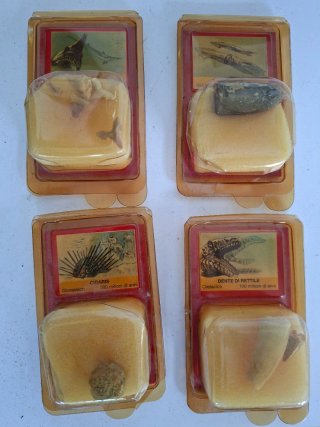 4 Fossili De Agostini Anni 90