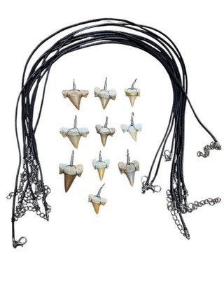 Set de 10 Colgantes de Fósiles
