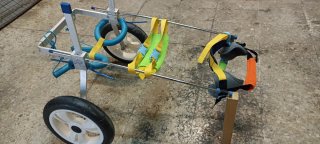 Silla de Ruedas para Perro Grande