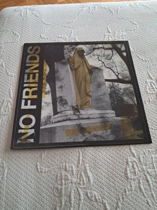No Friends - Traditional Failures.lp color