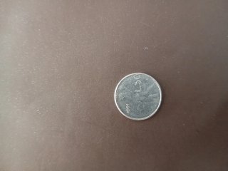 Moneta 50 Lire Micro Italiana 1991