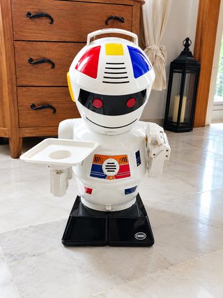 Robot Emilio de Bizak