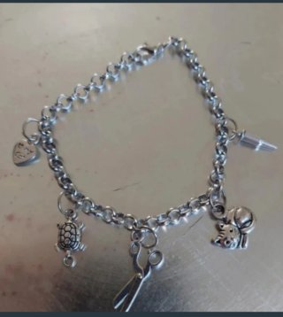 Pulsera de Veterinaria de acero inoxidable.