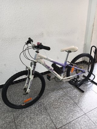 Bicicleta de Montaña