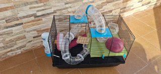 Jaula hamster
