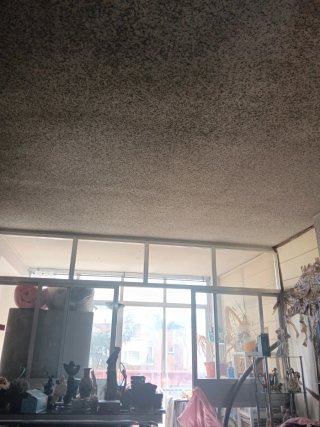 Habitación para reformar el suelo de moqueta