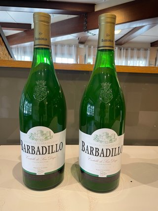 2 Botellas de Vino Barbadillo Castillo San Diego
