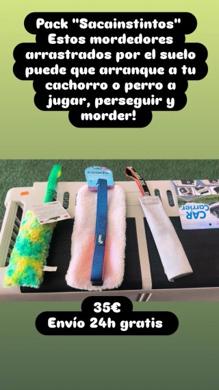 Confezione da 3 Morditori per Cani