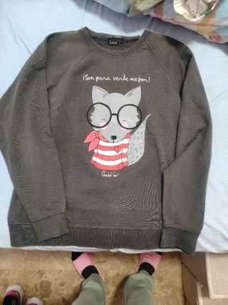 Sudadera Anabel Lee Gris
