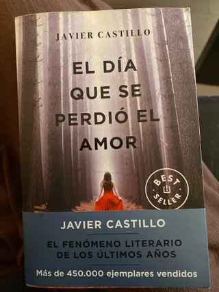 El día que se perdió el amor