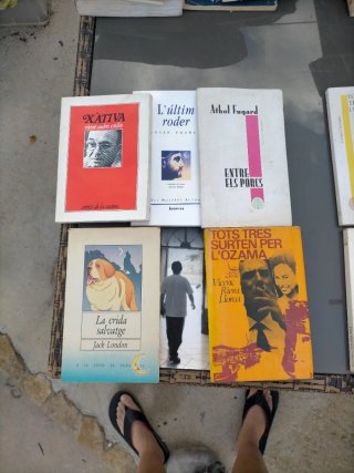 Lote de llibres en valencià/ calatà.