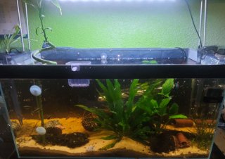 Lámpara LED para acuario Chihiros