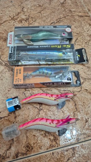 Lote de 5 Señuelos de Pesca Eging y Spinning