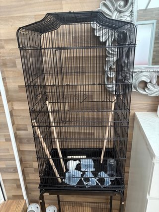 Gran jaula para pájaros + complementos