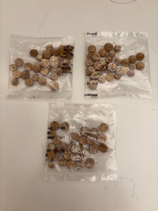 Bolsas de Monedas de Oro Playmobil