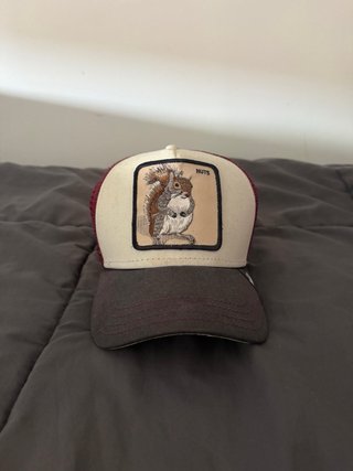 Gorra con estampado de ardilla