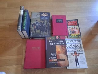8 Libros Varios: Ensayo, Novela Histórica,clasicos