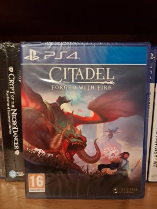 🇪🇦🇮🇹 NUEVO Citadel: Forged with Fire (PS4)