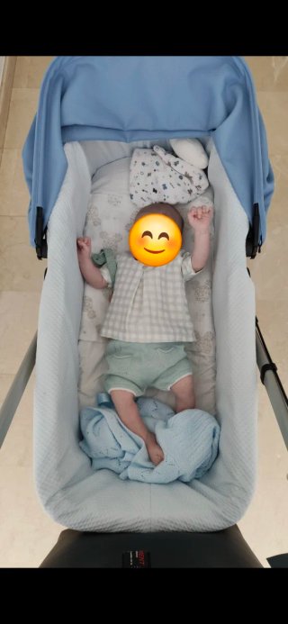 Funda Capazo Bugaboo Camaleón 3