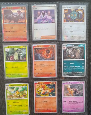 Cartas Pokémon Bulk y Holo
