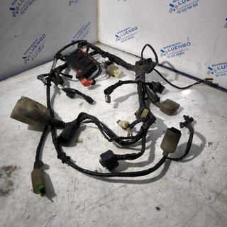 Cableado Honda PCX 125 2020
