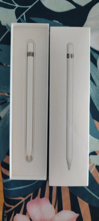 Apple Pencil 1ª Generación