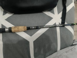 Caña de casting Bass Pro Shops GS Series