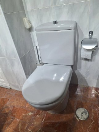 Inodoro Roca Gris