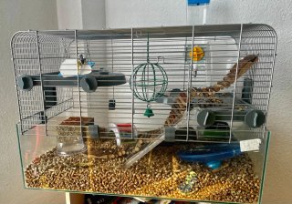 Jaula para hámster con accesorios