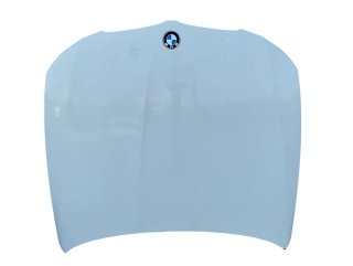 Capot BMW Serie 3 2007-2013 318i