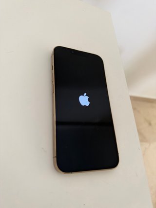 iPhone 13 Pro Gold