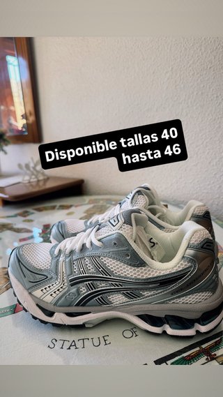 Zapatillas Asics Gel Kayano 14