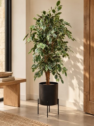 Planta Artificial con Macetero y Soporte FICUS
