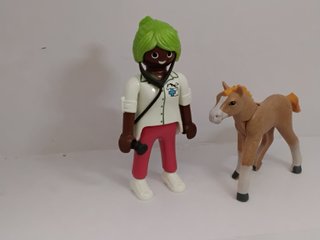 Playmobil Veterinaria con Potro