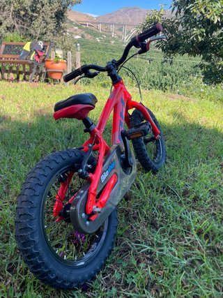 Bicicleta Infantil BH Expert 14 pulgadas