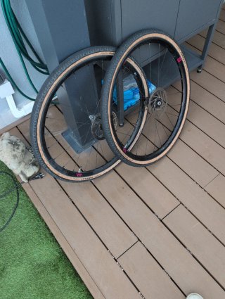 Ruedas para Bicicleta Gravel Fulcrum Rapid Red 300