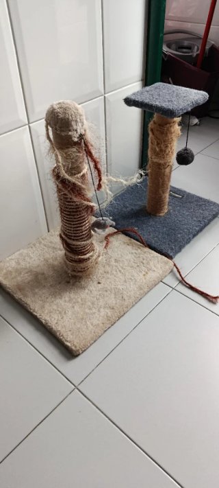 Gratis 2 Rascadores para Gatos