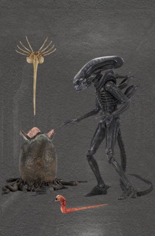 Figura Alien Big Chap NECA Ultimate 23 cm
