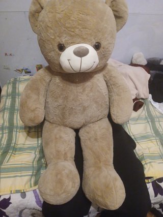 Peluche Gigante Oso Color Marrón