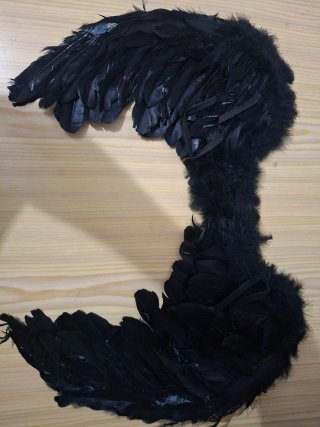 Alas de Ángel Negras