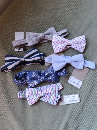 Lote de 6 Pajaritas para Hombre