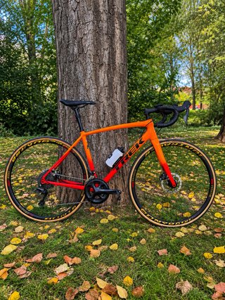 Bicicleta de Carretera Trek Émonda ALR 4