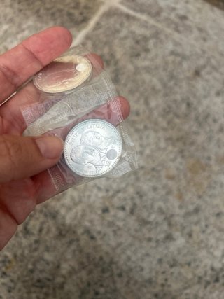 Moneda de 12 Euros de Plata 2004