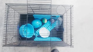 Jaula para Hámster con Accesorios