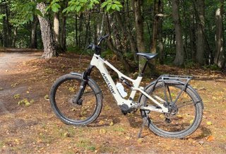 Bicicleta Eléctrica Amflow PL Carbon