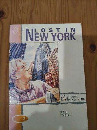 Lost in New York