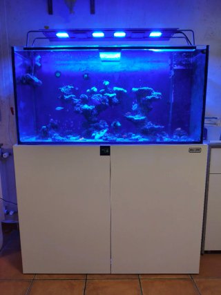 Acuario de 400 litros con mueble