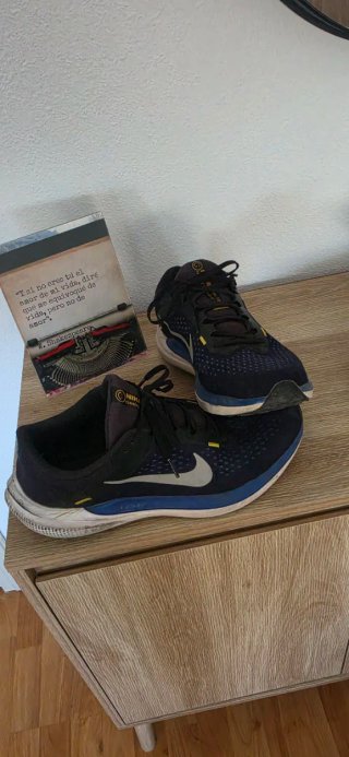 Lote zapatillas Running 60€ sueltas 20€ cada una